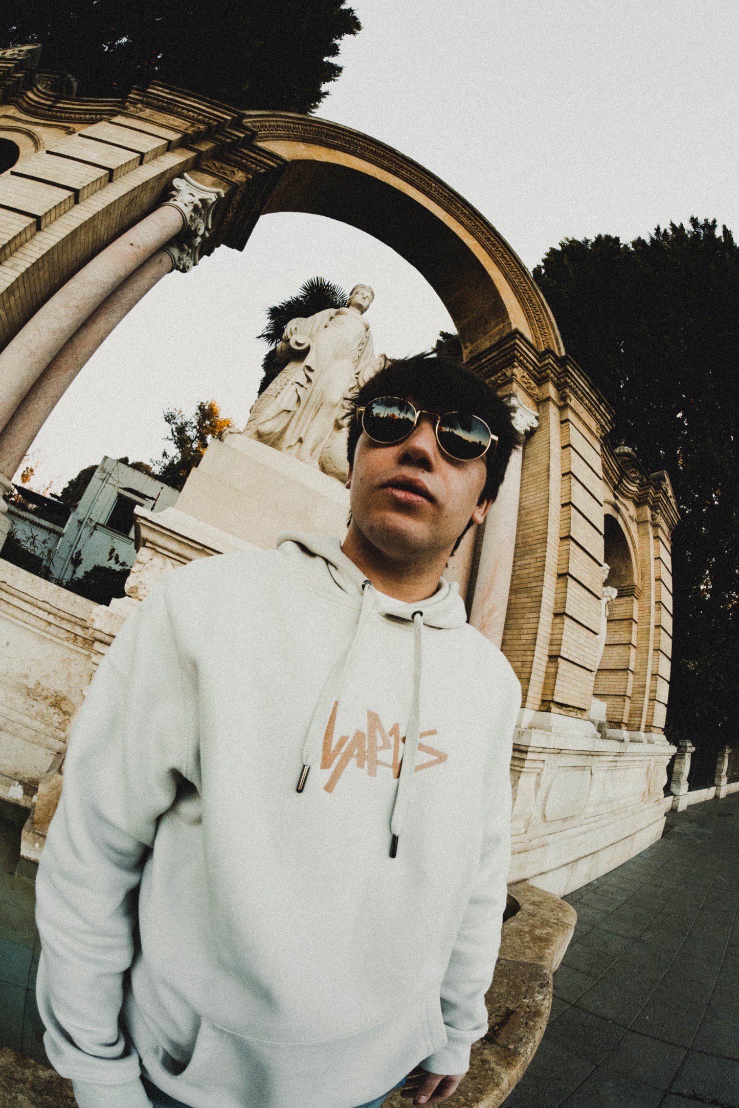 Beige Classic Hoodie